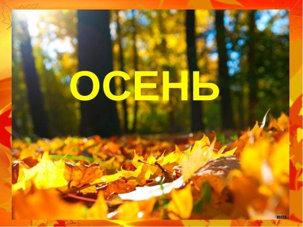 Презентация осень