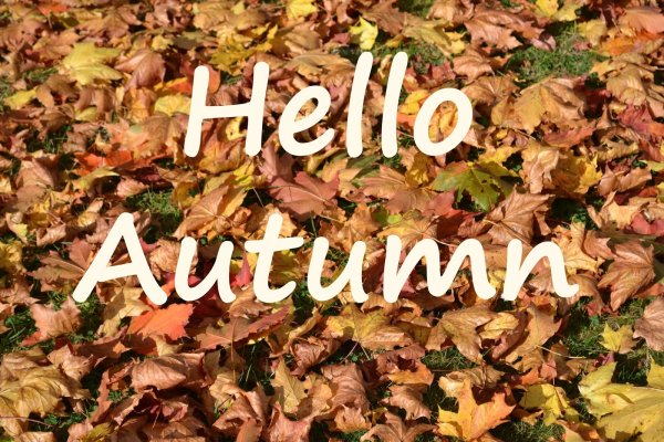 Hello autumn надпись