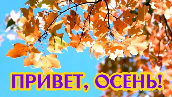 Привет сентябрь Здравствуй осень