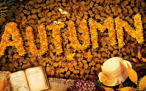 Осенние буквы