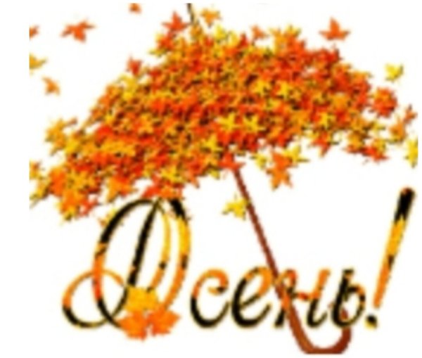 Осенний привет