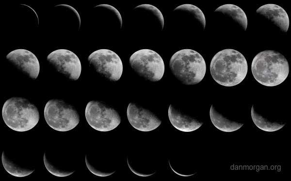 4 Phases of Moon