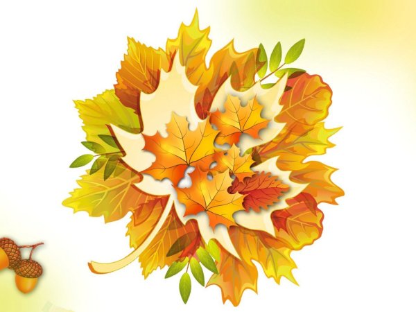 Осенний букет на прозрачном фоне