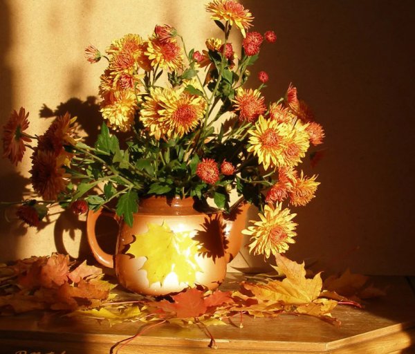 С осенними цветами