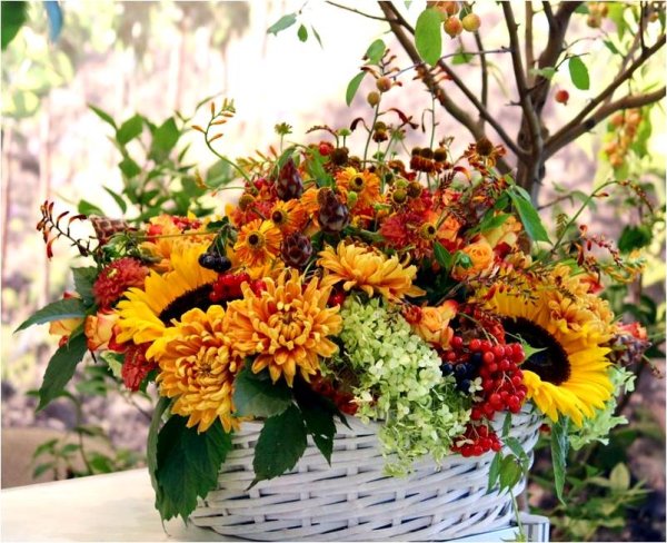 Сезонные осенние цветы