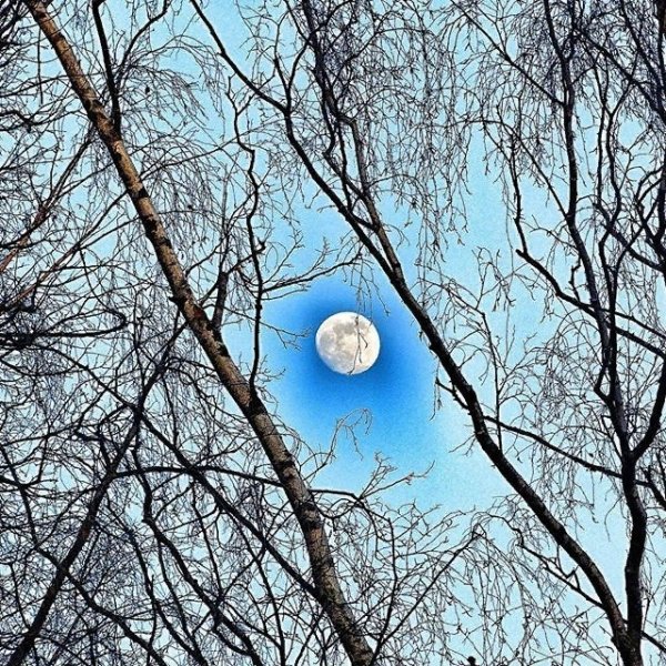 Весенняя Луна