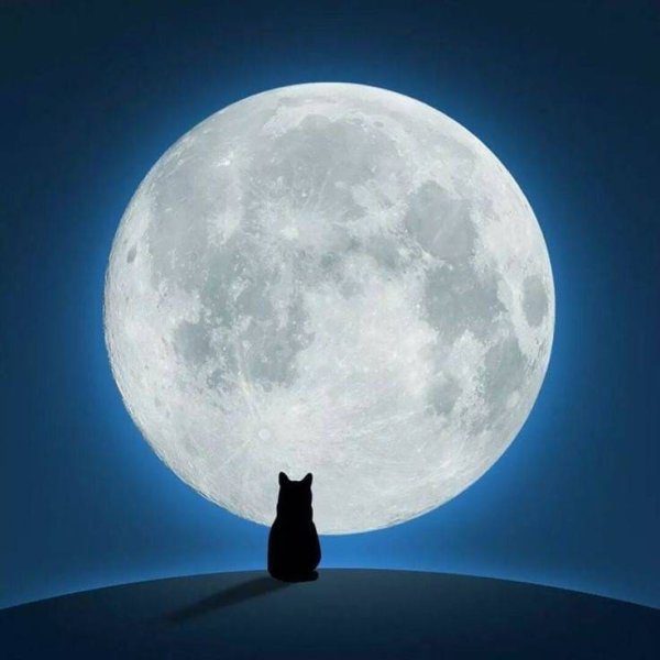 Луна на аву