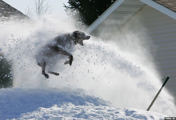 Ненавижу снег