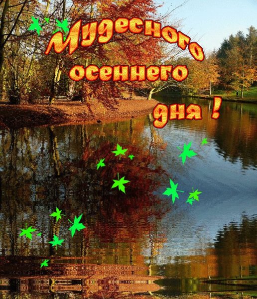 Хорошего дня осень