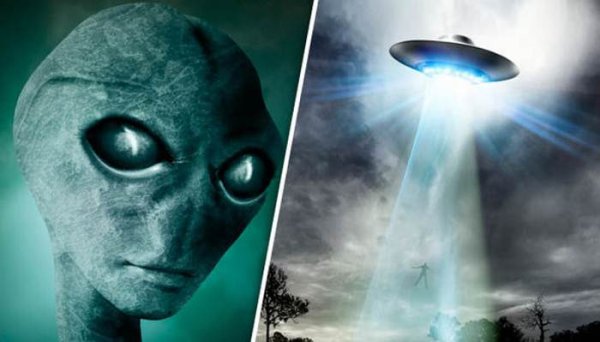 Инопланетяне в квартире