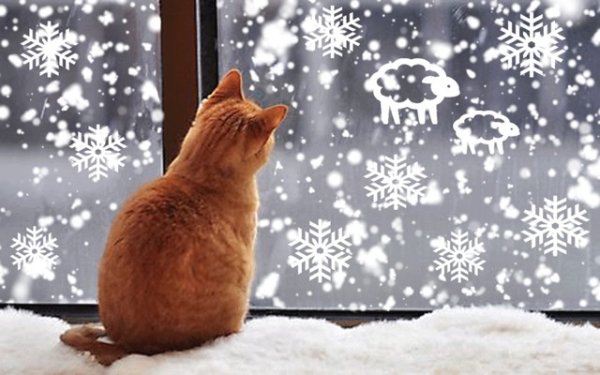 Доброе утро снег идет