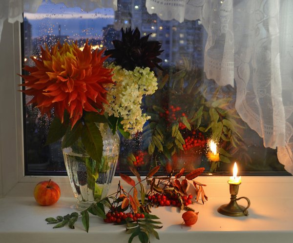 Доброго осеннего вечера