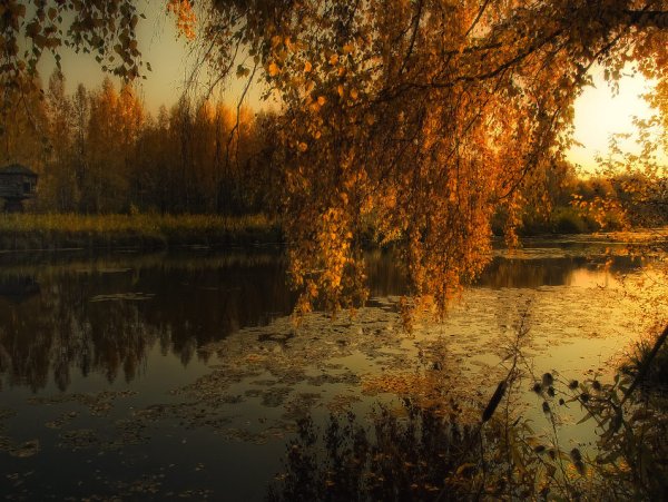 Доброго осеннего вечера природа