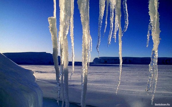 Природные явления зимой