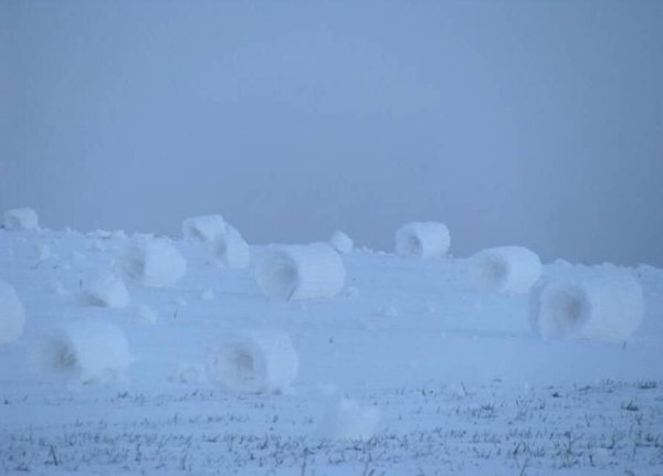 Рулоны из снега