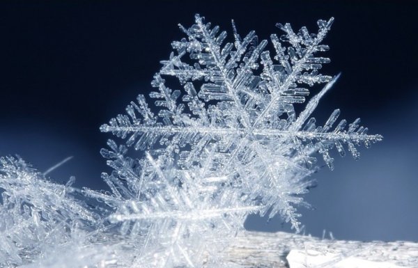 Ледяная Снежинка