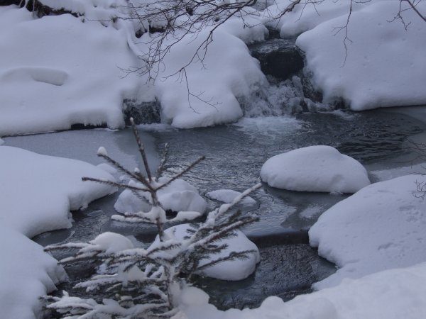 Природные явления снег
