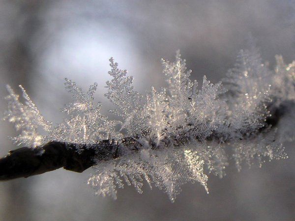 Природные явления зимой