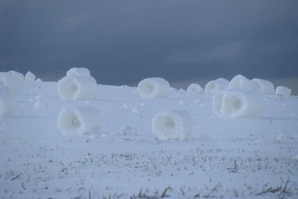 Рулоны из снега