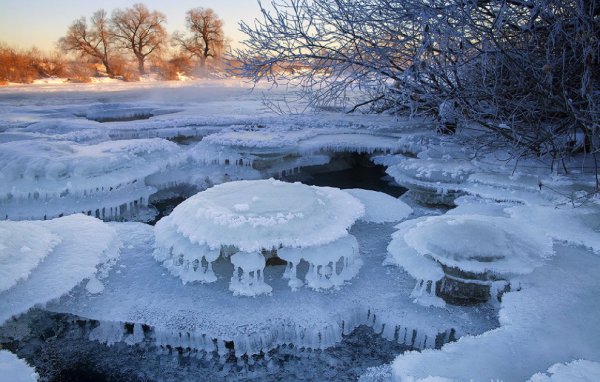 Зимнее чудо