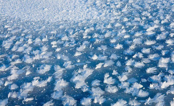 Ледяные цветы в Северном Ледовитом океане