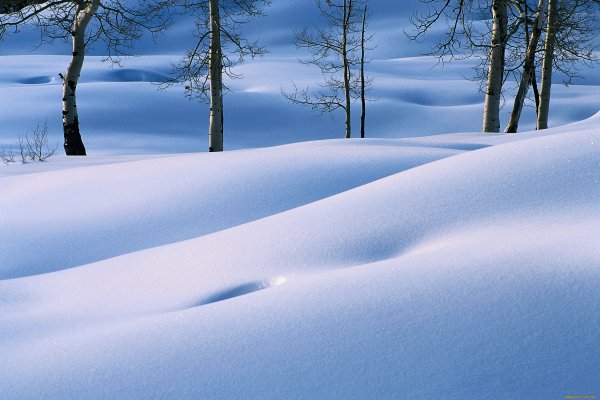 Зима много снега