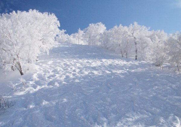 Красивый снег выпал