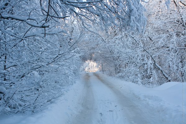 Зима на Кумысной Поляне