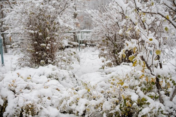 Первый снег Самара