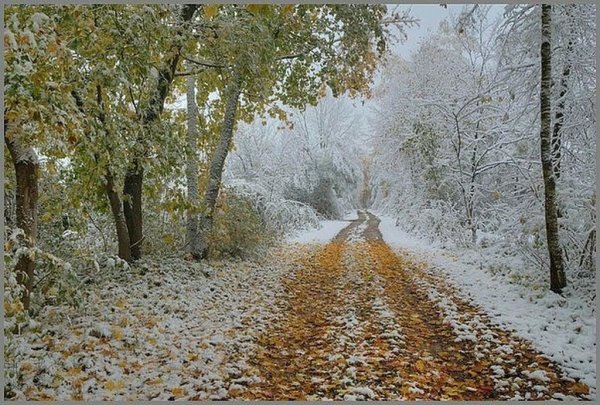 Снег осенью