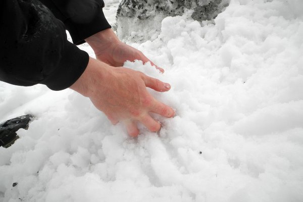 Только снег