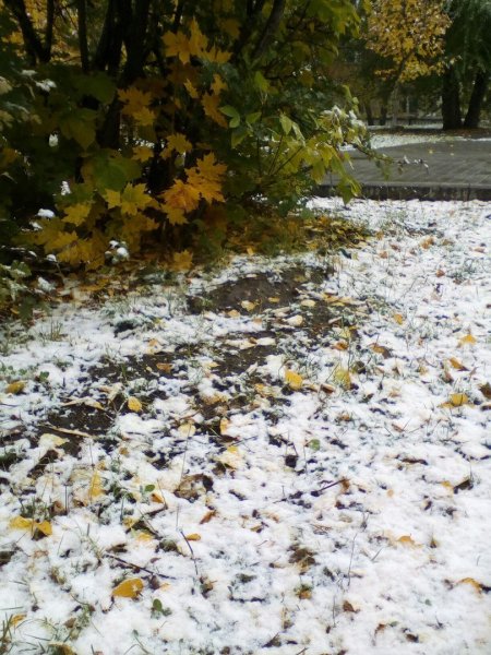 Падал первый снег