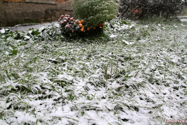 В Москве выпал первый снег