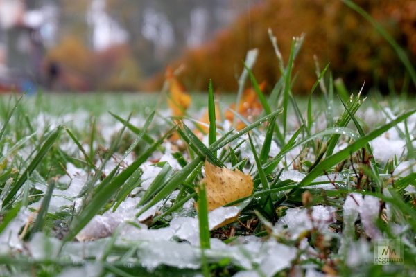 Первый снег в Подмосковье