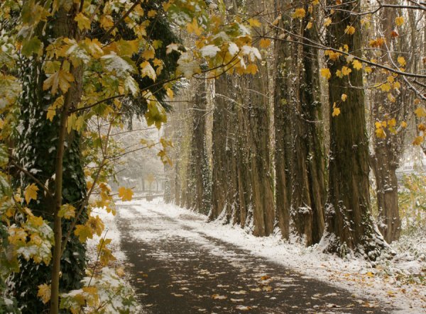 Падает снег осенью
