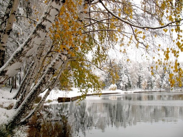 Утро первый снег природа