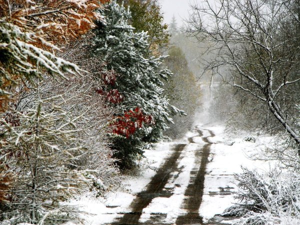 Первый снег