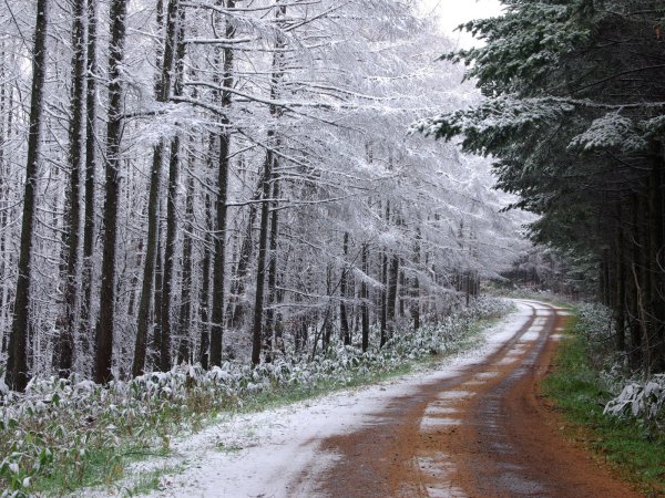 Поздняя зима