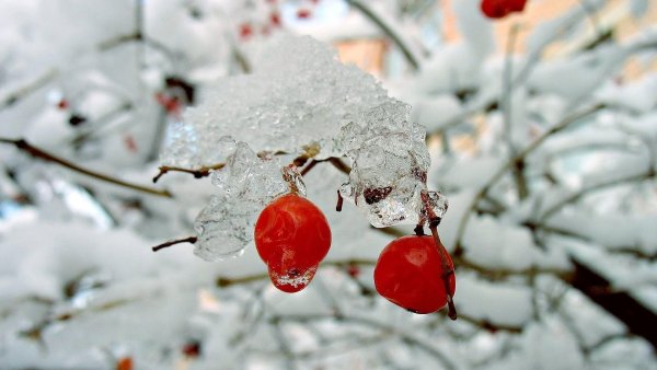 Заставка на рабочий стол начало зимы