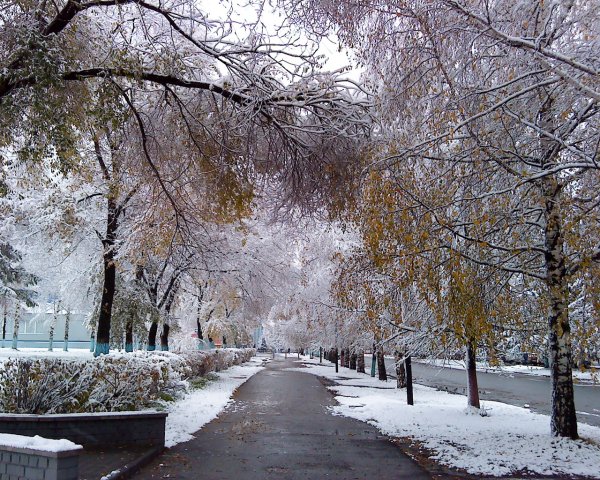 Первый снег в городе