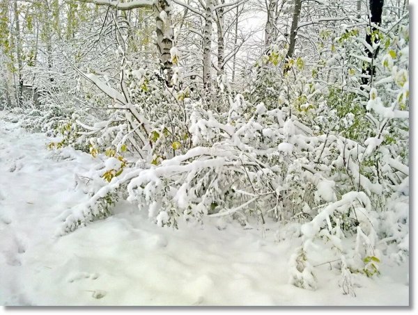 Снежок кружится