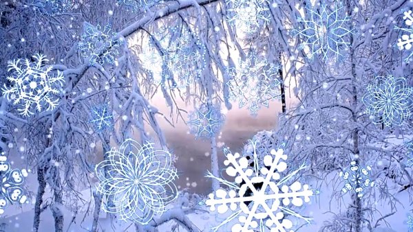 Снежинки в лесу