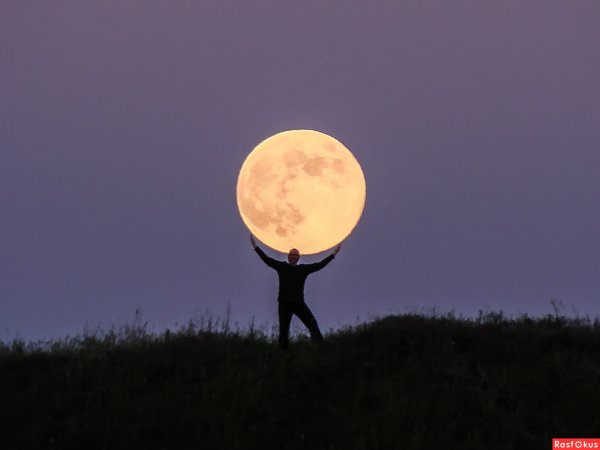 Полная Луна девушка