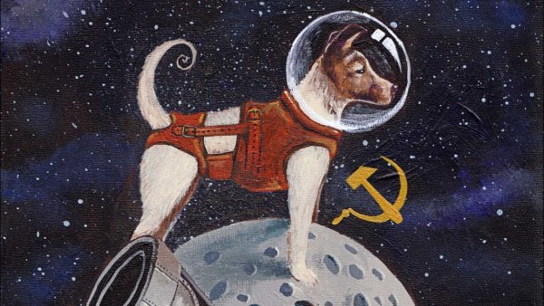 Собаки в космосе