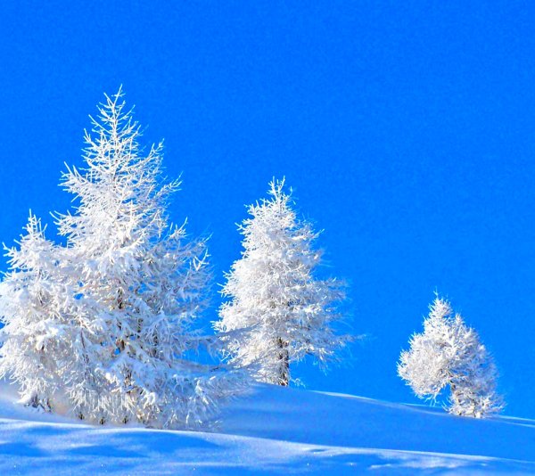 Белоснежная зима