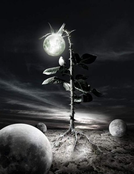 Сюрреалистическая ночь