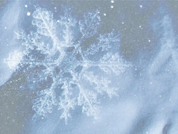 Снежинки метель