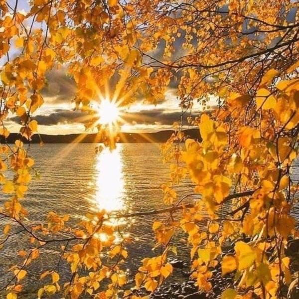 Солнечный осенний день