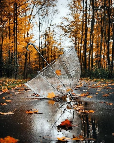 Осенний ливень