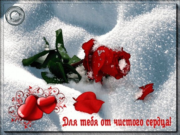 От чистого сердца